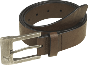 Belt PNG image-9606